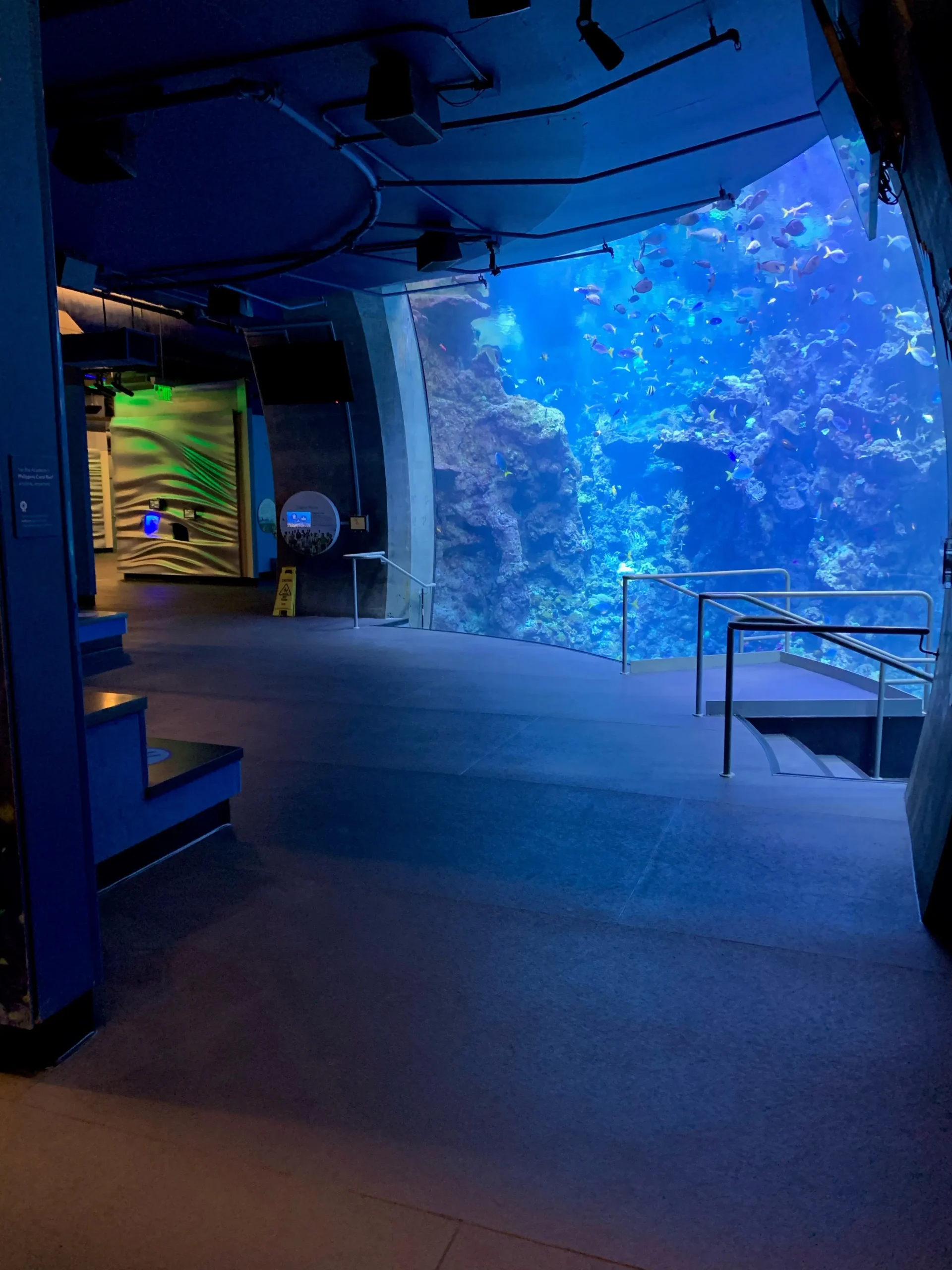 Eco-Grip flooring installation at the California Academy of Sciences