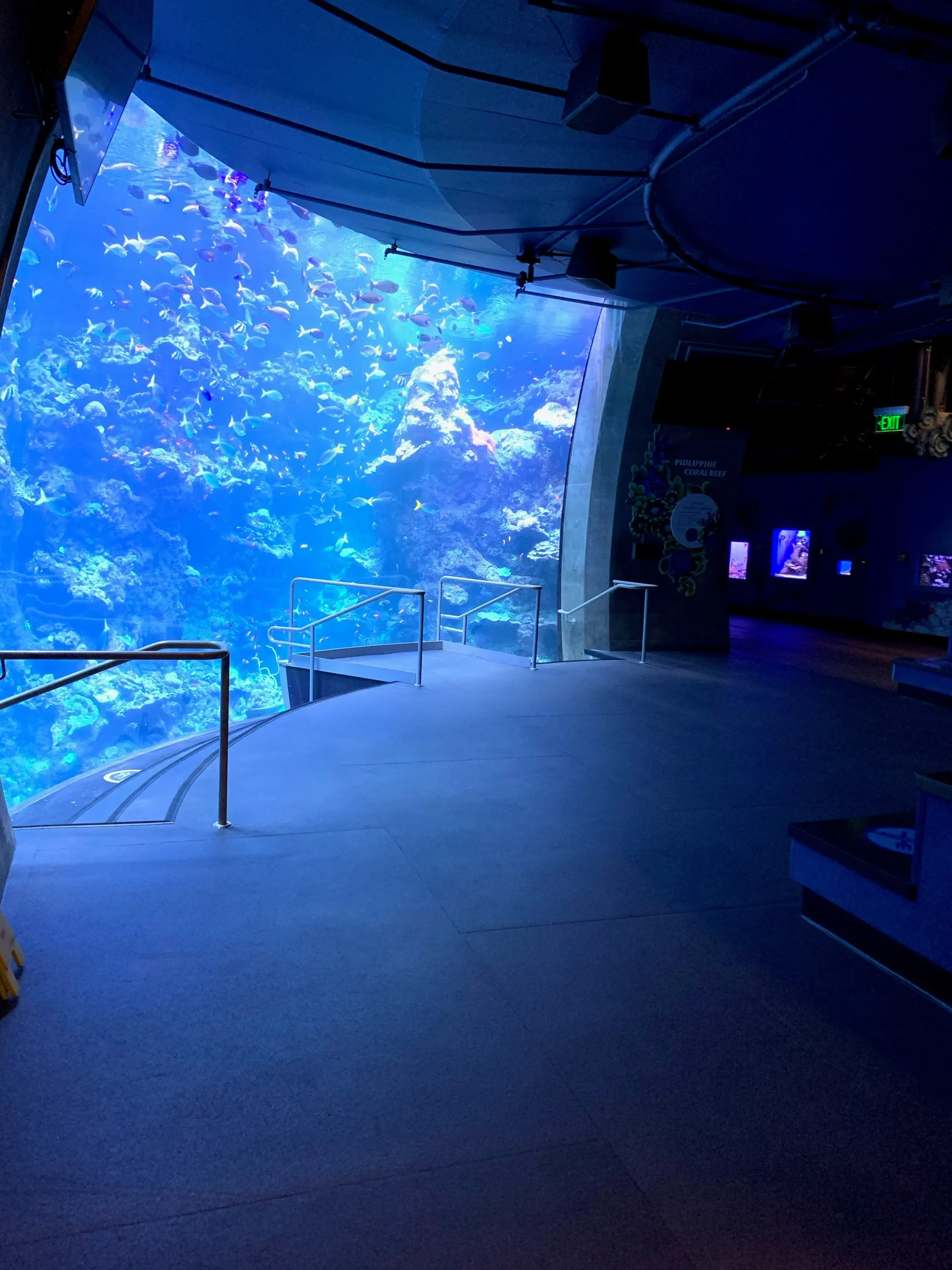 Eco-Grip commercial flooring installation at the California Academy of Sciences
