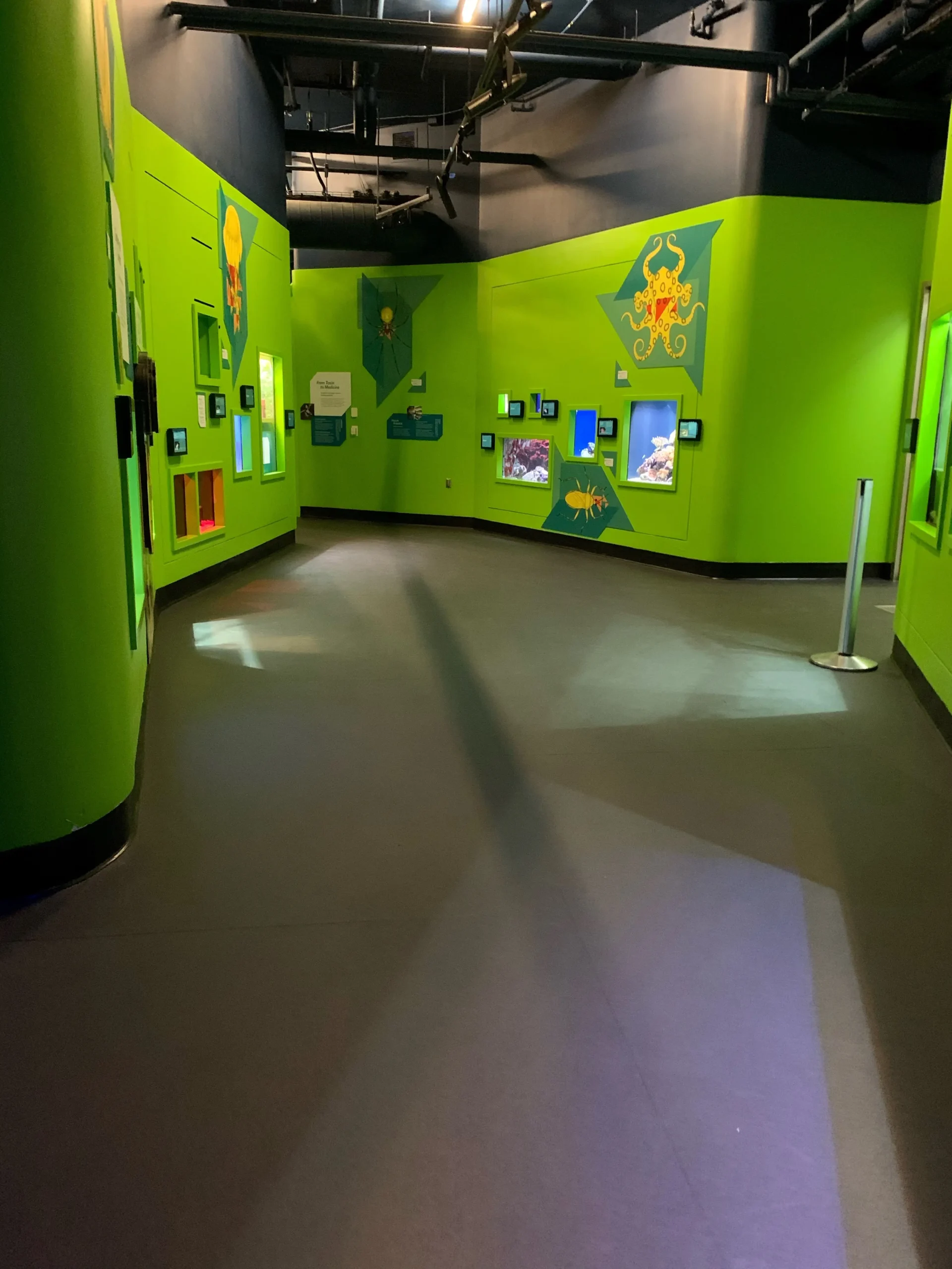 Eco-Grip flooring in a wet environment at the California Academy of Sciences
