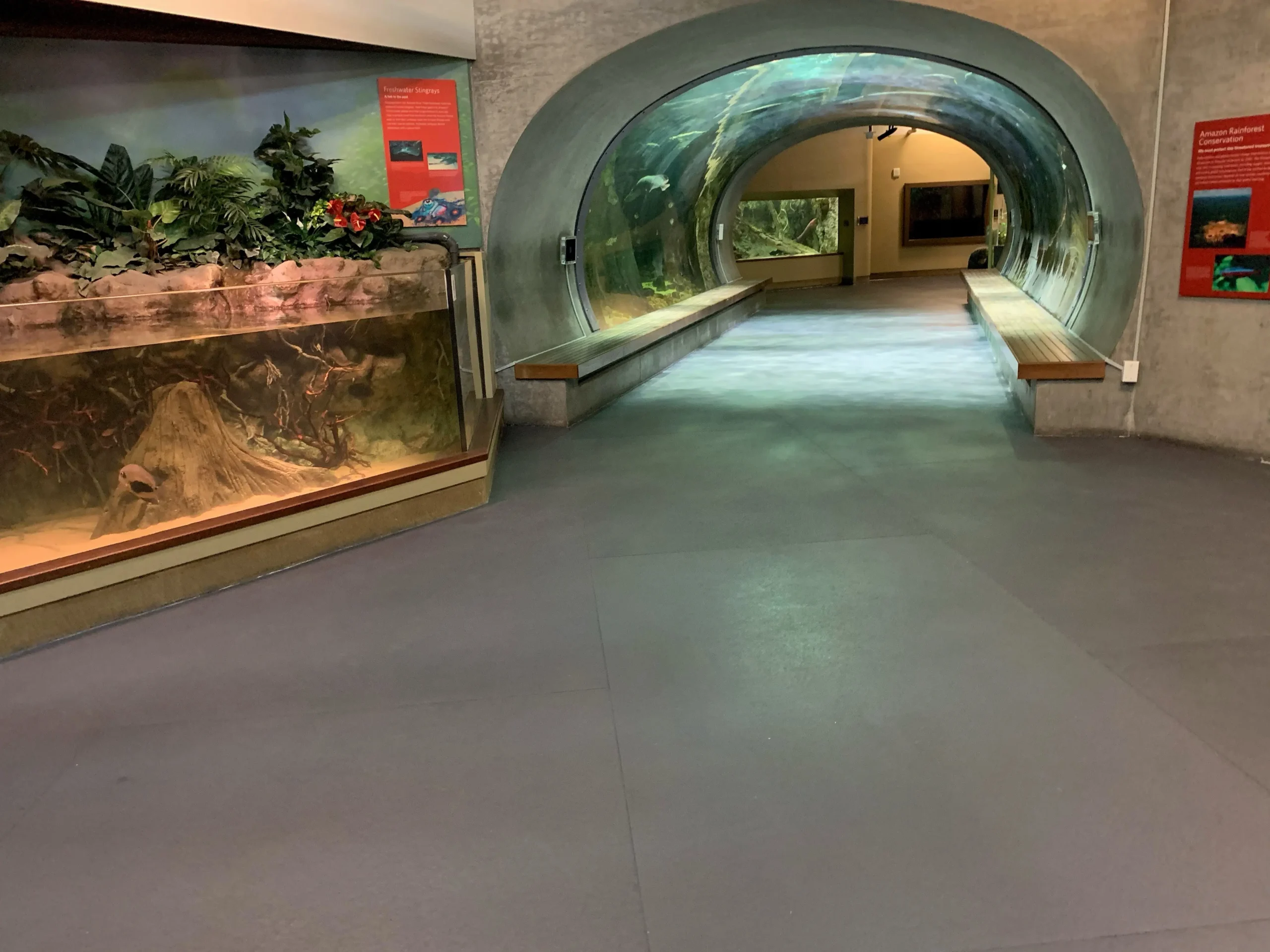 Eco-Grip flooring installation at California Academy of Sciences aquarium