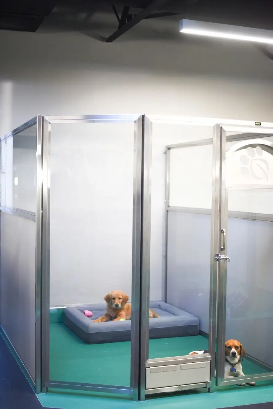 Eco-Grip flooring installed in a veterinary kennel