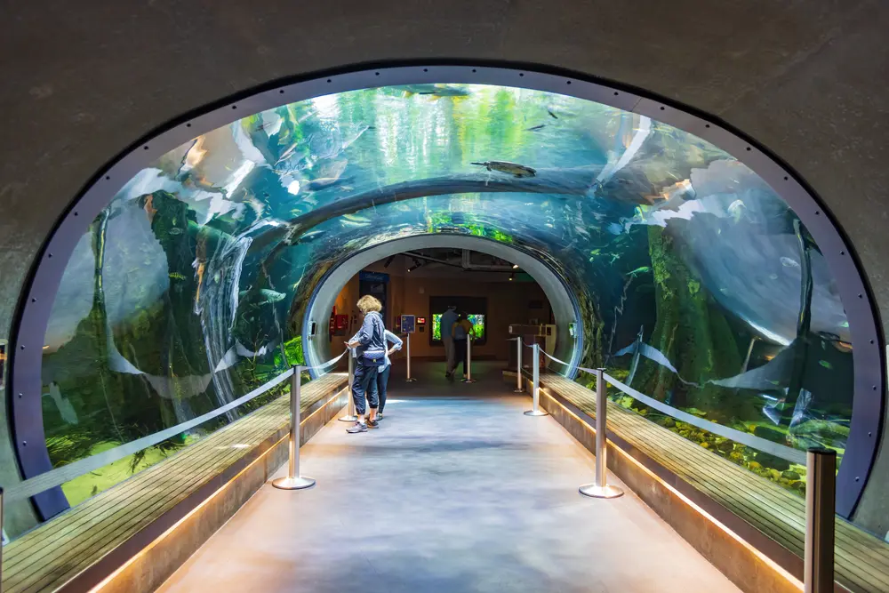 Commercial aquarium environment representing Eco-Grip flooring applications